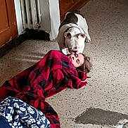 Taz participe au concours pour gagner de l'argent avec cette photo : dog, bulldog, child, blanket, plaid_blanket, indoor, floor, tiled_floor, radiator, wooden_cabinet, licking, affectionate, pet, human, lying_down, face, snout, collar, casual_clothing, damaged_floor