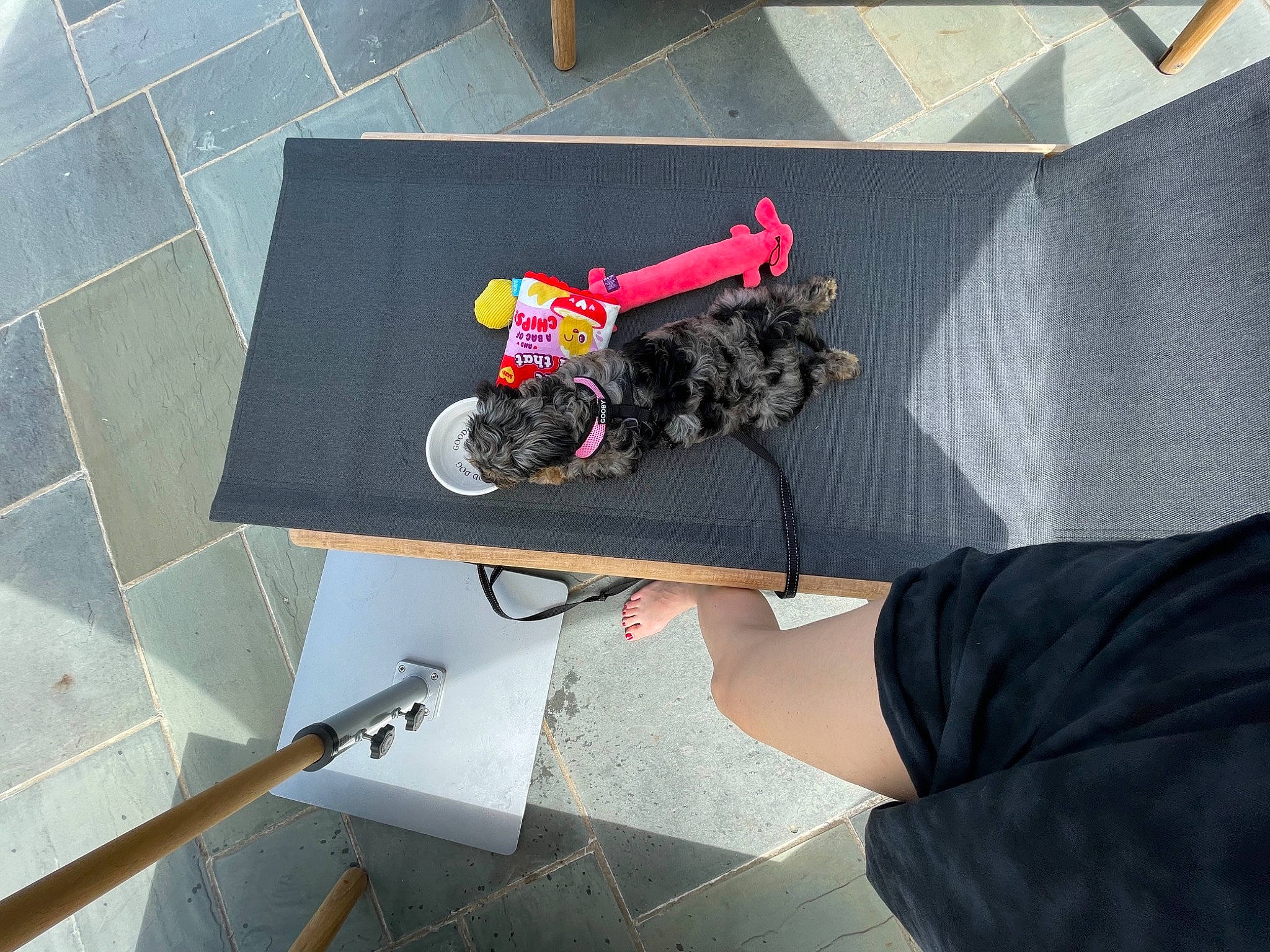 Indy is registered to the contest to win money with this photo: art, automotive_design, automotive_tire, automotive_wheel_system, bicycle_part, bicycle_wheel, carmine, floor, flooring, font, footwear, human_leg, motor_vehicle, recreation, road_surface, thigh, tire, vehicle, visual_arts, wheel