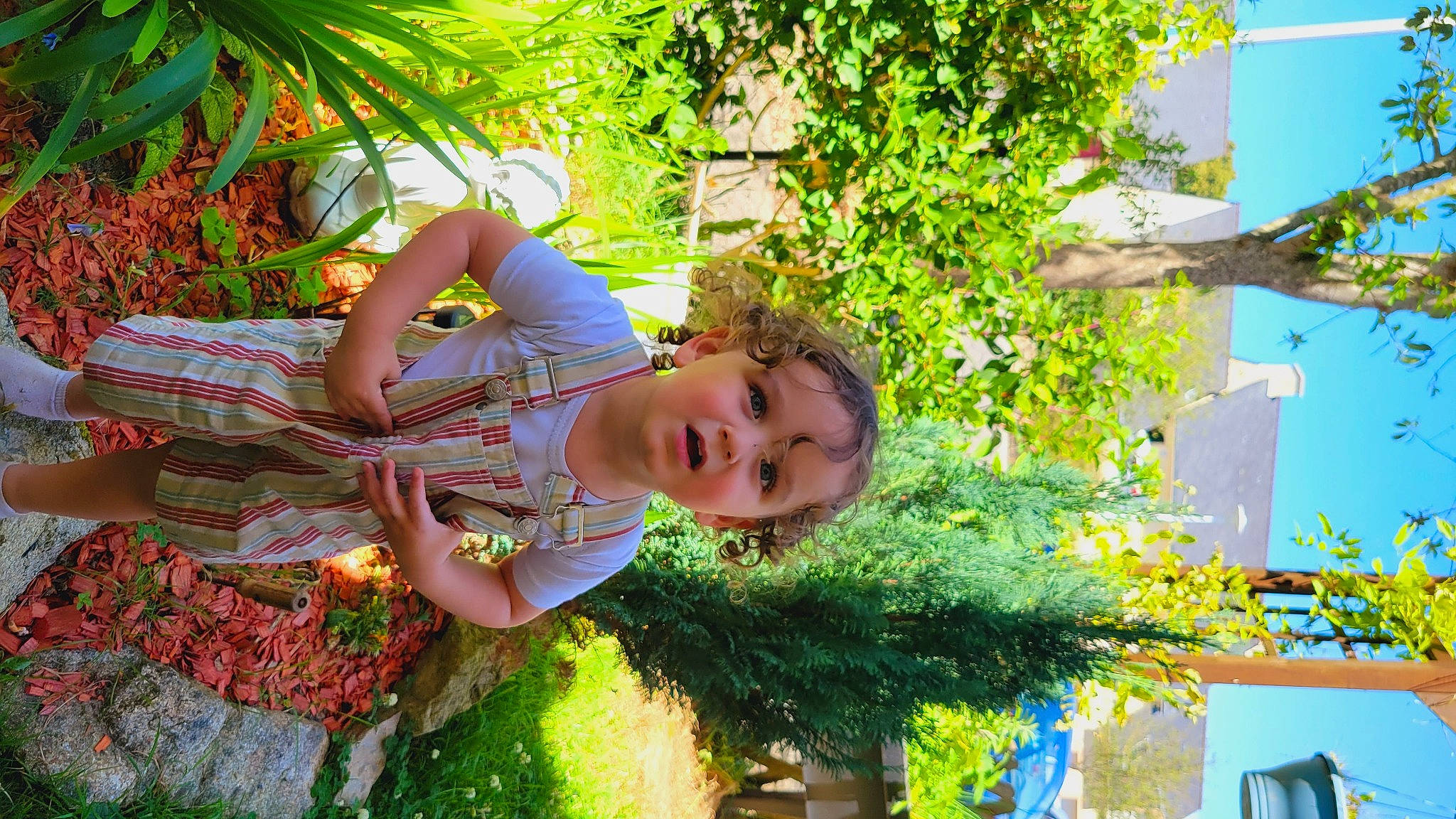 Gino participe au concours pour gagner de l'argent avec cette photo : arecales, botany, child, evergreen, fun, garden, grass, happy, landscape, leaf, leisure, people_in_nature, person, plant, shrub, sitting, toddler, tree, yellow