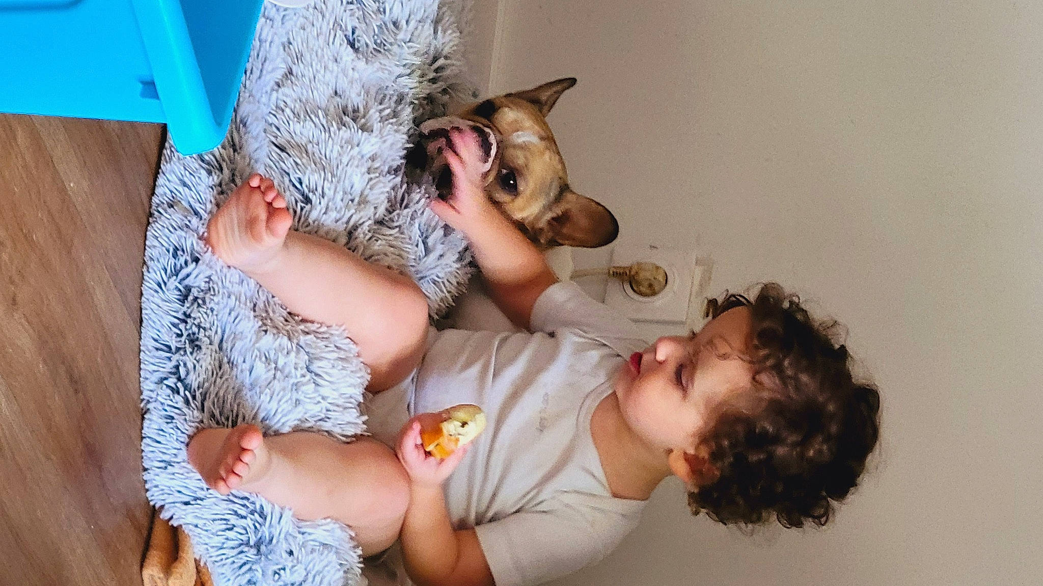 Gino participe au concours pour gagner de l'argent avec cette photo : abdomen, arm, baby, cat, chest, child, comfort, elbow, felidae, fun, gesture, hand, happy, human_leg, person, room, small_to_medium_sized_cats, thigh, toddler, trunk