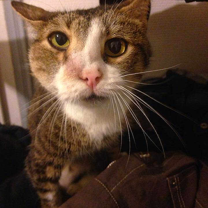 Tyzane joined the competition — help win amazing prizes!