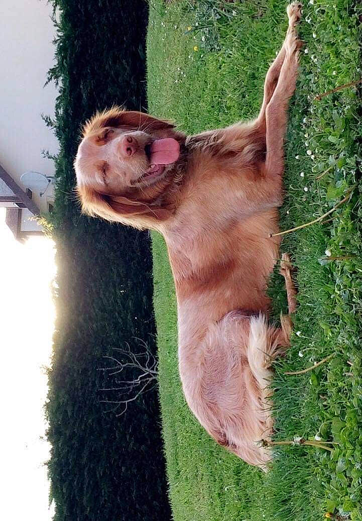 Jeena a rejoint le concours — aidez-le/la à gagner de superbes lots ! fawn, macaque, primate, wildlife