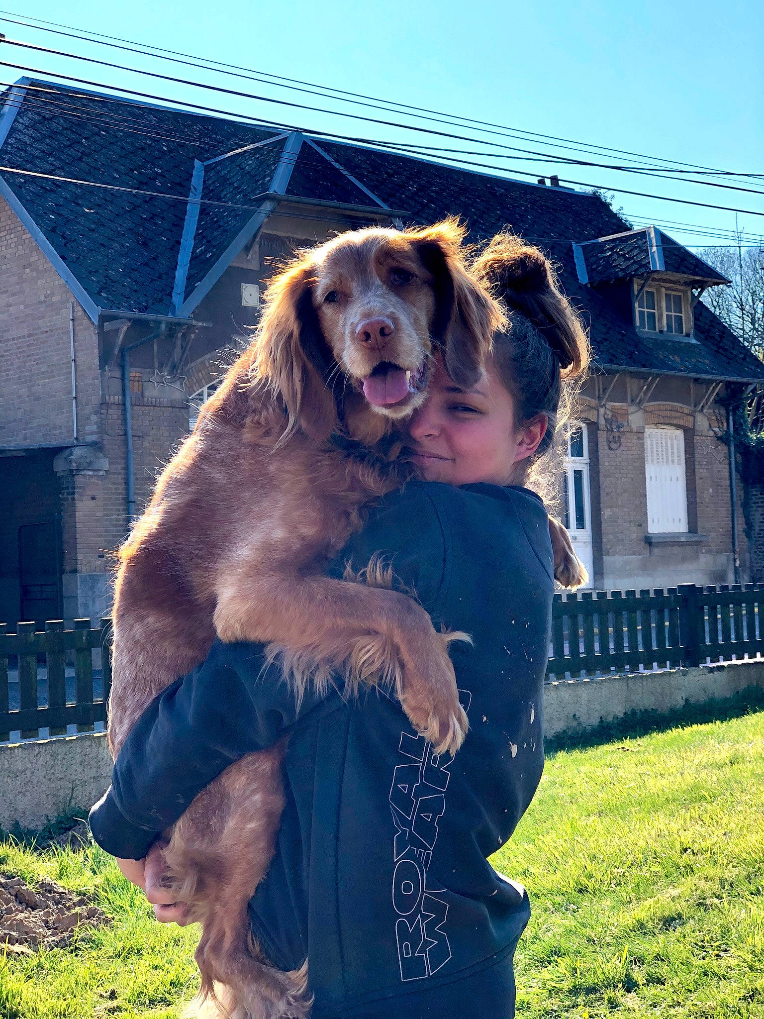 Jeena a rejoint le concours — aidez-le/la à gagner de superbes lots ! boykin_spaniel, canidae, carnivore, cocker_spaniel, companion_dog, dog, dog_breed, english_cocker_spaniel, field_spaniel, german_longhaired_pointer, hovawart, irish_setter, mammal, retriever, setter, spaniel, sporting_group, vertebrate