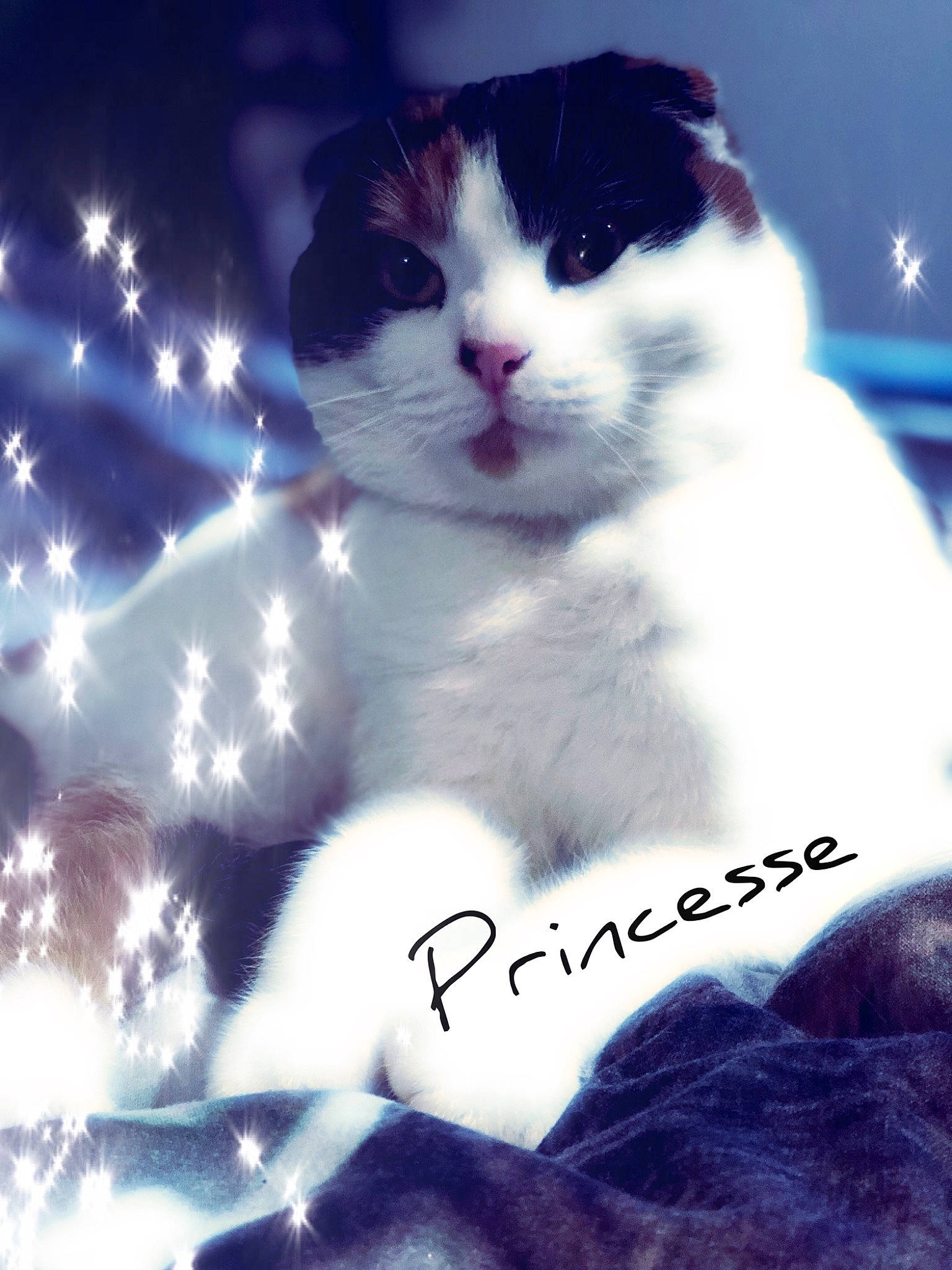 Princesse