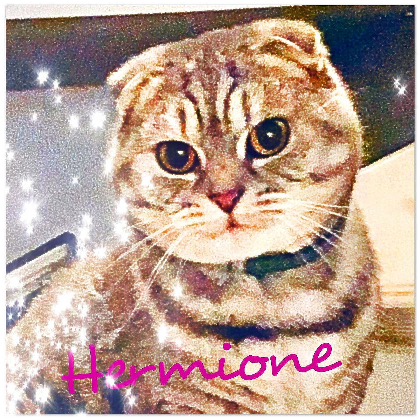Hermione