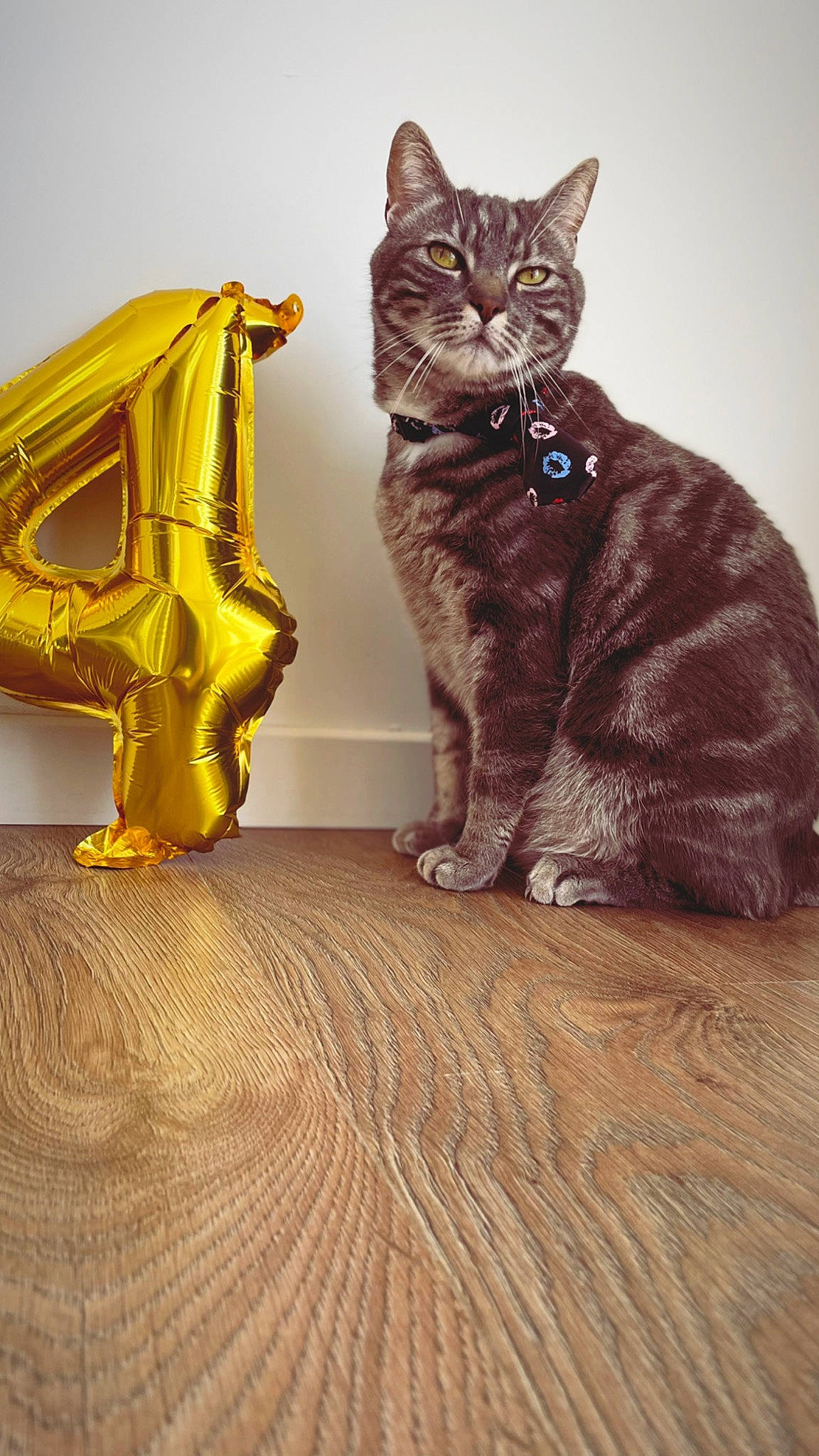 Laïko participe au concours pour gagner de l'argent avec cette photo : art, black_cat, carnivore, cat, cat_toy, domestic_short_haired_cat, fawn, felidae, flooring, fur, glasses, hardwood, metal, sculpture, small_to_medium_sized_cats, tail, vertebrate, whiskers, wood, wood_flooring