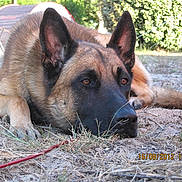 Furtif participe au concours pour gagner de l'argent avec cette photo :