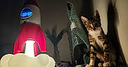 Croquettes a rejoint le concours — aidez-le/la à gagner de superbes lots ! cat, kitten, animal, pet, tabby, white_chest, sitting, indoors, shelf, lamp, cloud_lamp, thermometer, digital_display, red, green, wrapped_object, shadows, dim_lighting, portrait, home_decor