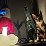 cat, kitten, animal, pet, tabby, white_chest, sitting, indoors, shelf, lamp, cloud_lamp, thermometer, digital_display, red, green, wrapped_object, shadows, dim_lighting, portrait, home_decor