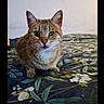 Judy a rejoint le concours — aidez-le/la à gagner de superbes lots ! cat, tabby, animal, pet, feline, sitting, bed, bedspread, patterned_fabric, indoors, bedroom, portrait, close_up, striped_fur, white_chin, green, brown, ears, eyes, whiskers