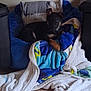 Bear Davis is registered to the contest to win money with this photo: puppy, dog, bed, blanket, blue, cozy, indoor, pet, animal, fur, cute, resting, comfort, pillow, floor, home, young, looking, black, brown