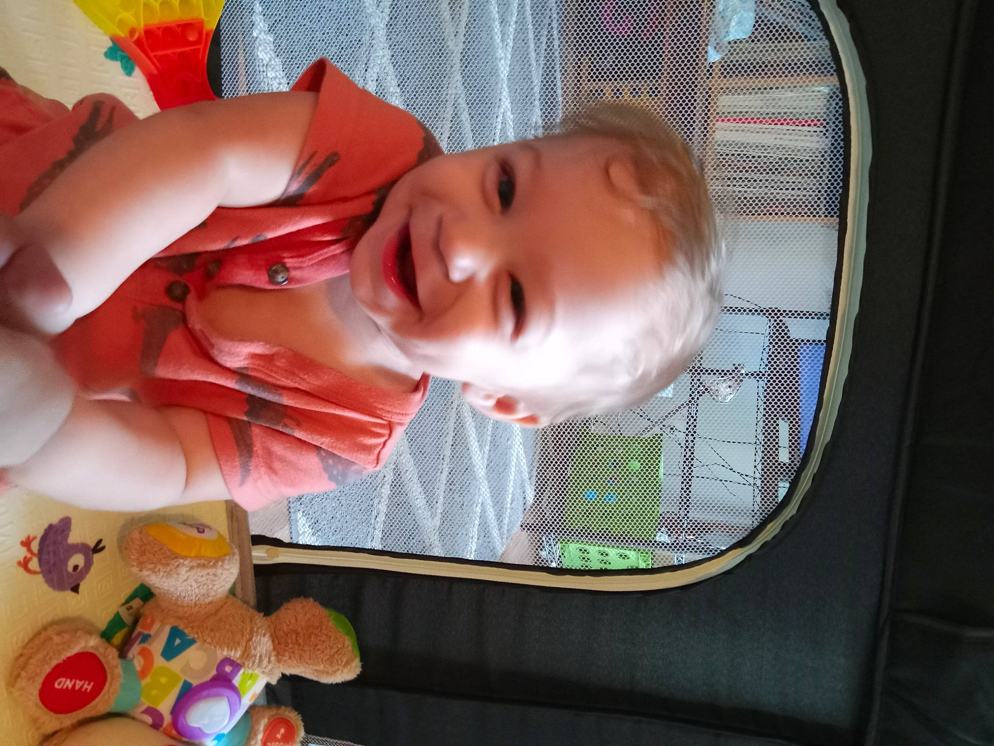 Joey is registered to the contest to win money with this photo: baby, baby_products, baby_safety, baby_toddler_clothing, baby_toys, child, fun, joy, nose, person, play, product, room, smile, sweetness, toddler, toy, window