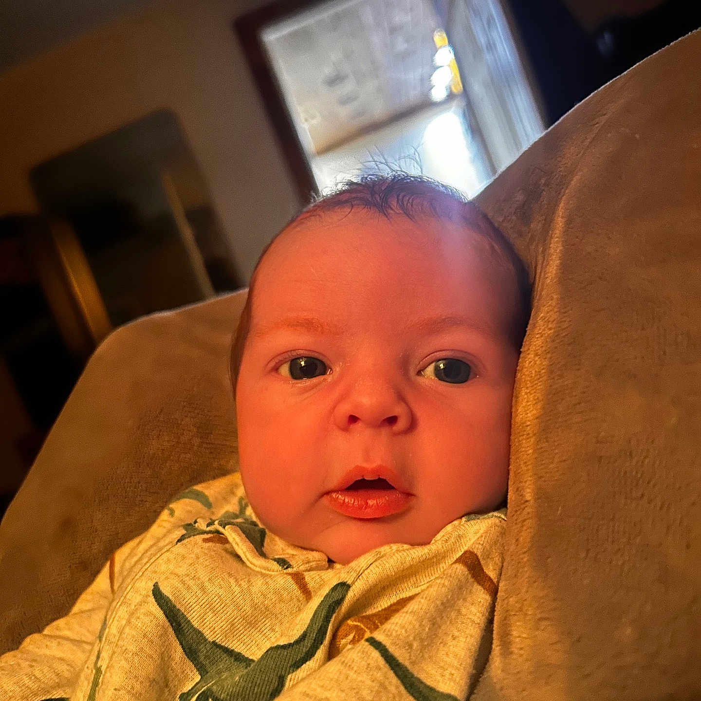 Beau joined the competition — help win amazing prizes! baby, blanket, child, closeup, clothing, cozy, cushion, dinosaur_pattern, expression, eyes, face, head, homedecor, indoor, infant, portrait, resting, soft_texture, warm_light, young