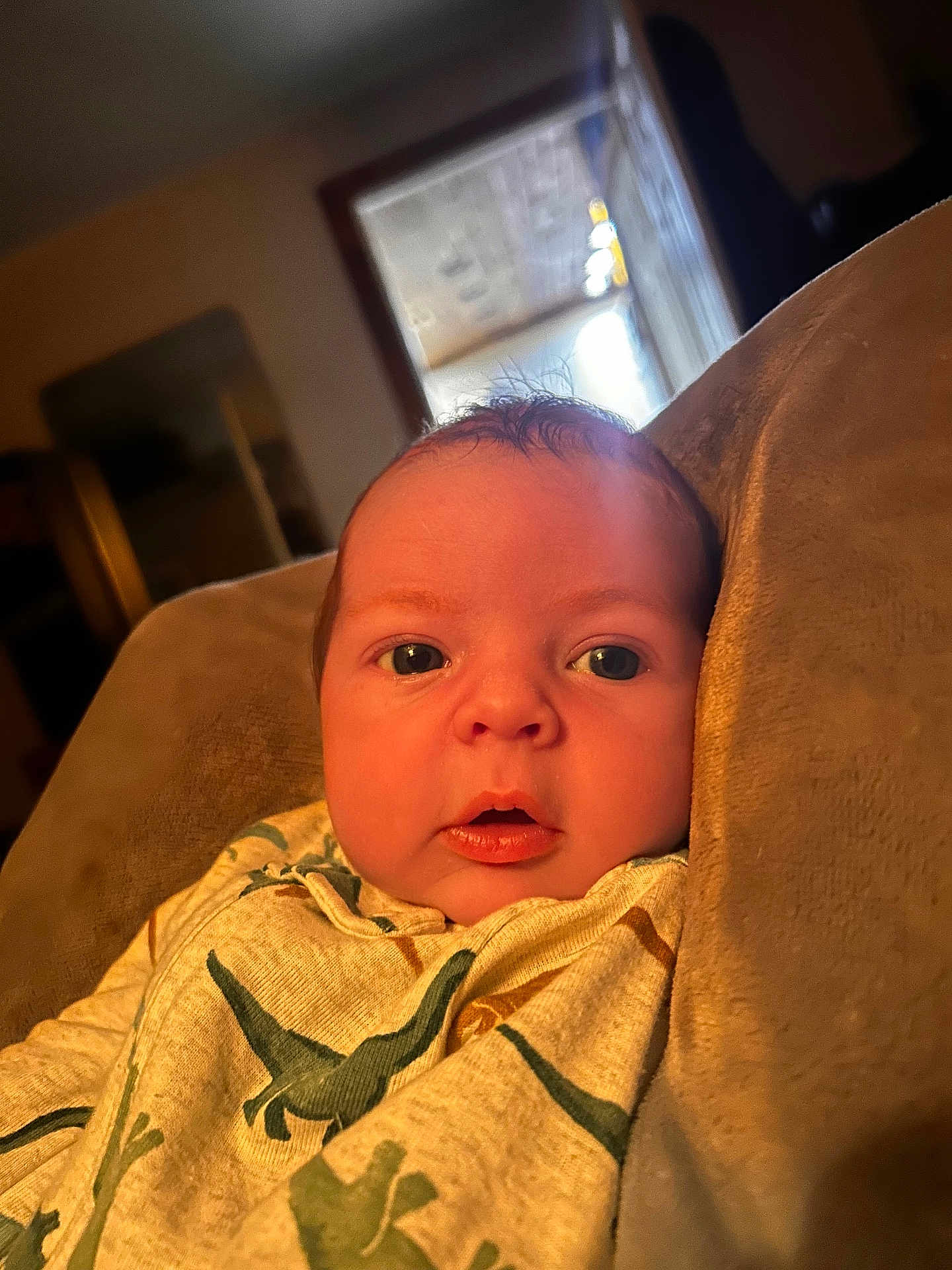 Beau joined the competition — help win amazing prizes! baby, infant, face, eyes, blanket, dinosaur_pattern, cushion, indoor, cozy, portrait, child, young, warm_light, resting, soft_texture, clothing, head, expression, closeup, homedecor