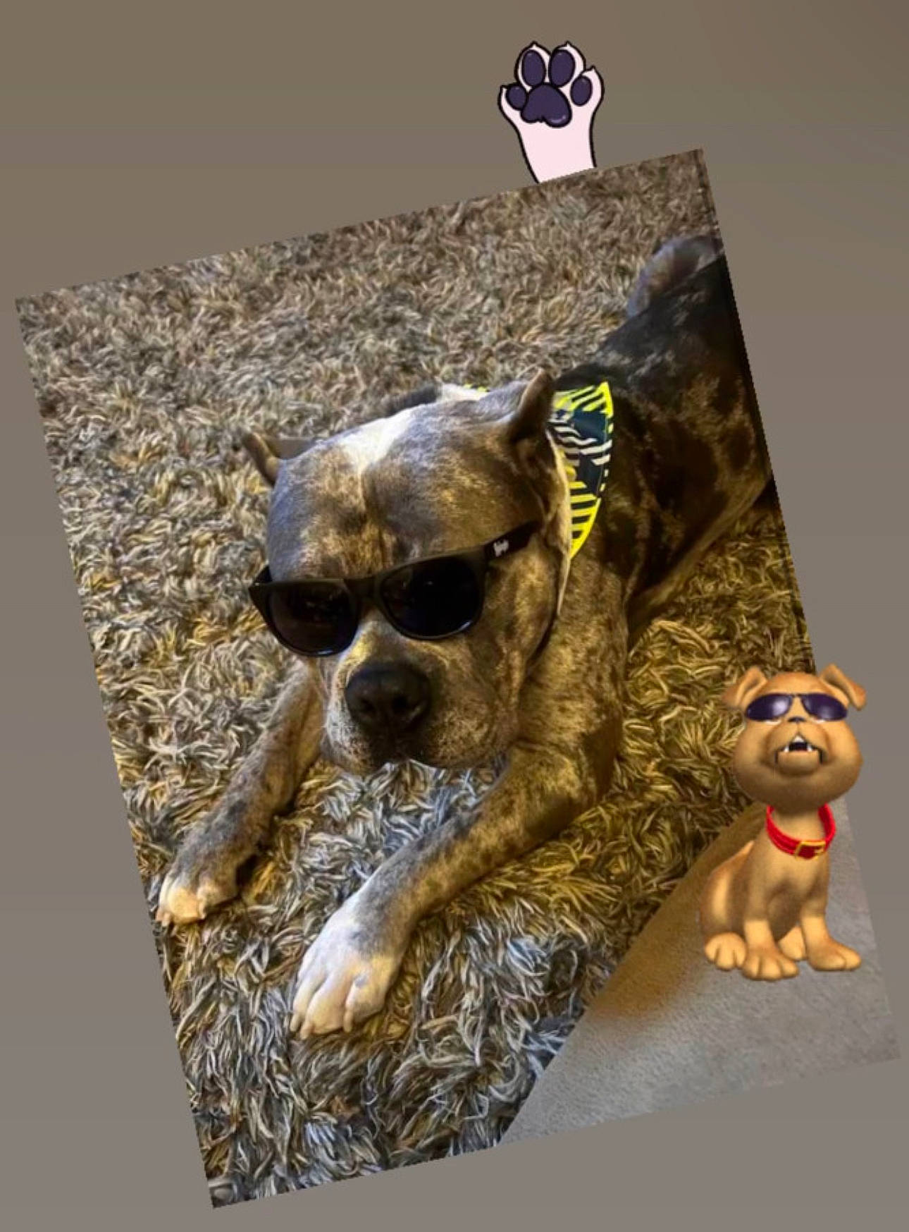 Captain is registered to the contest to win money with this photo: anthropology, art, artifact, bone, collectable, fawn, fictional_character, figurine, font, metal, rectangle, rock, sculpture, skull, still_life, still_life_photography, stock_photography, visual_arts, wood, working_animal