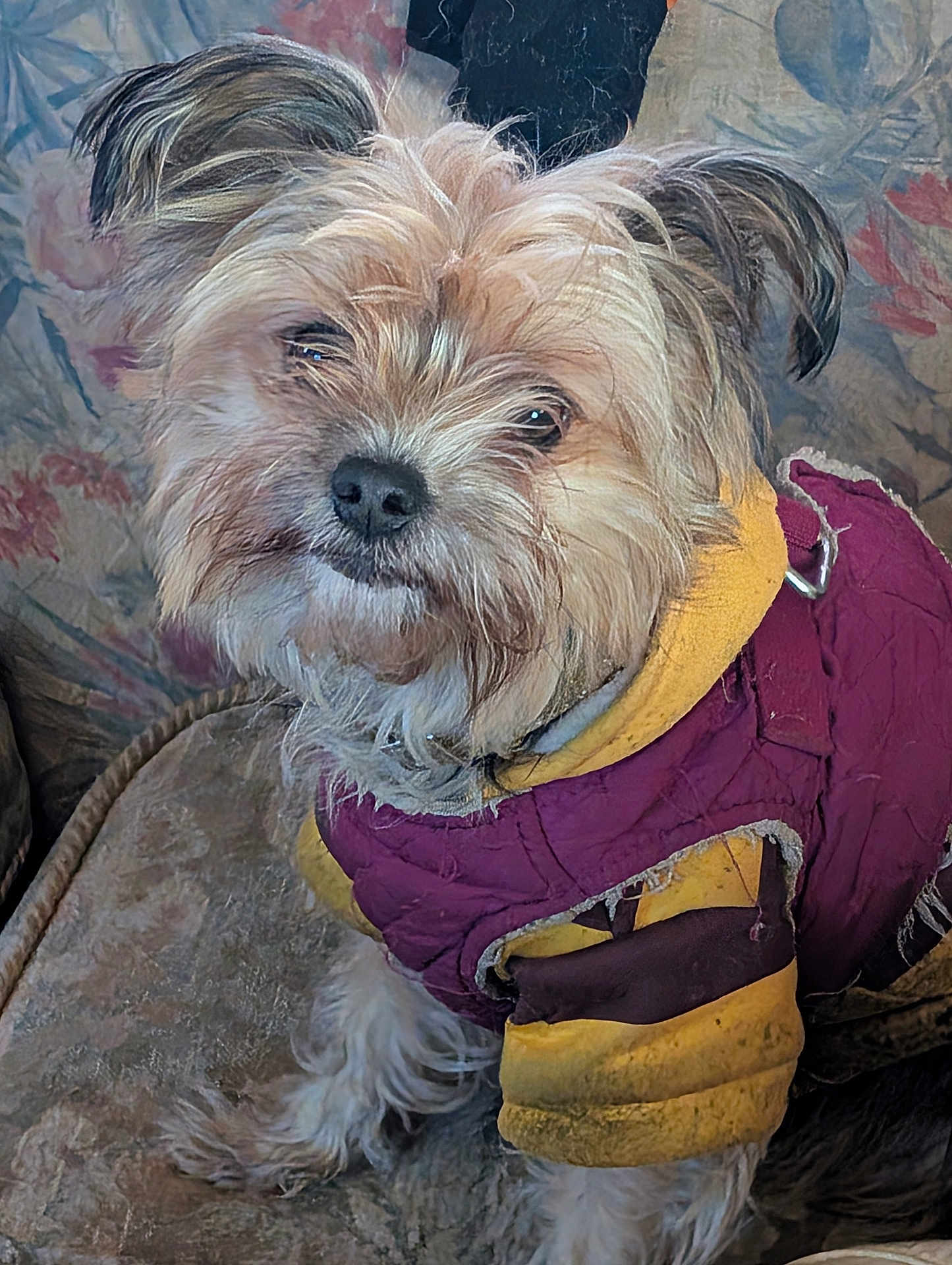 Yokie