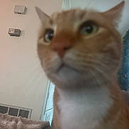 Pete is registered to the contest to win money with this photo: