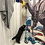 Enid joined the competition — help win amazing prizes! black_cat, cat, bathroom, shower_curtain, dinosaur, tiled_floor, tiled_wall, door, towel, curiosity, pet, indoor, hexagonal_tiles, animal, fur, collar, bathroom_accessories, domestic, side_view, playful