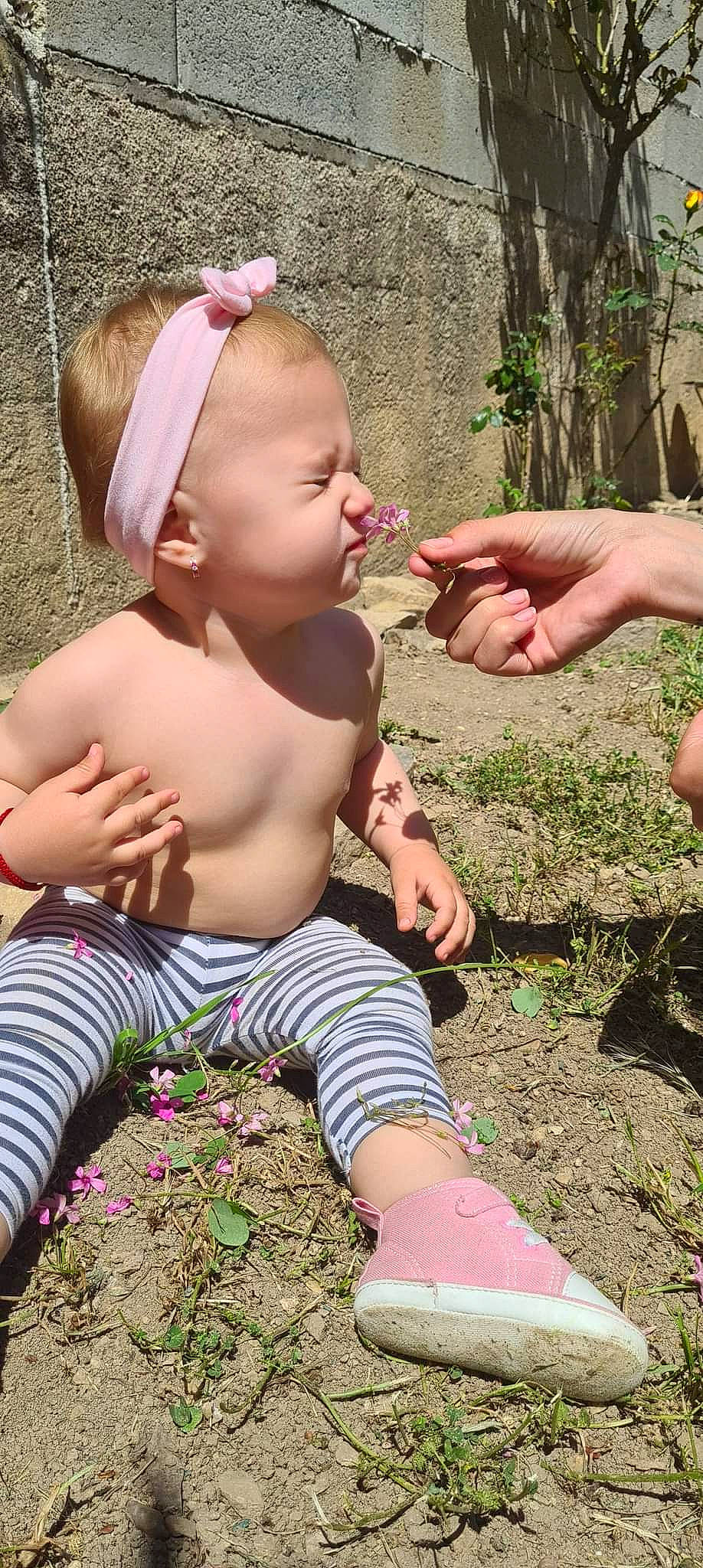 Sara a rejoint le concours — aidez-le/la à gagner de superbes lots ! baby, baby_toddler_clothing, chest, child, face, finger, fun, gesture, grass, hairstyle, hand, happy, head, people_in_nature, person, pink, plant, summer, thigh, thumb