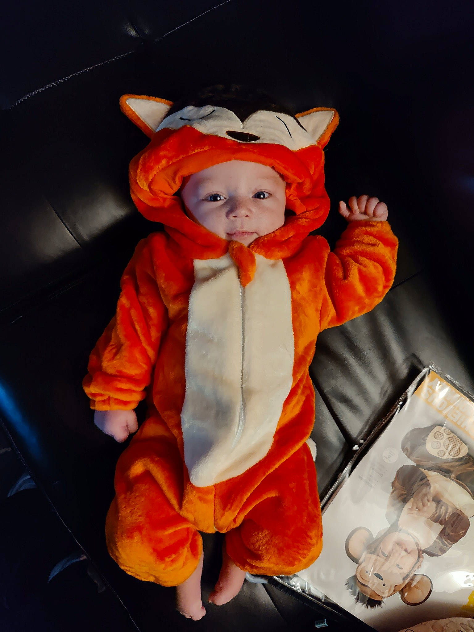 Alec joined the competition — help win amazing prizes! baby, baby_toddler_clothing, calabaza, child, costume, fur, headwear, hoodie, orange, outerwear, peach, person, personal_protective_equipment, plush, pumpkin, room, sleeve, stuffed_toy, toddler, trick_or_treat