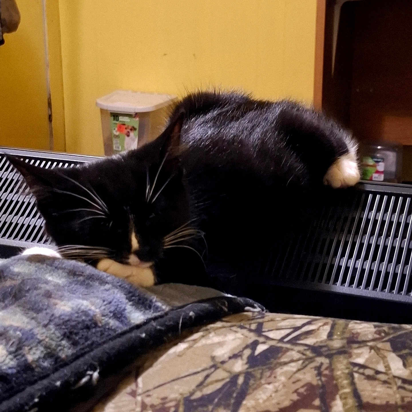 Chance joined the competition — help win amazing prizes! cat, tuxedo_cat, sleeping, resting, pet, animal, black_and_white, whiskers, paws, fur, laundry_basket, basket, blanket, bed, bedroom, indoor, cozy, relaxed, home, furniture