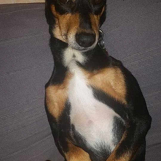 Ilti