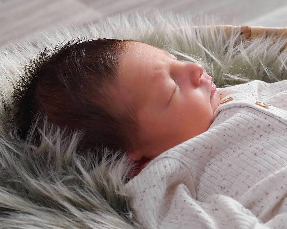 Karson is registered to the contest to win money with this photo: cheek, chin, close_up, comfort, ear, eye, eyebrow, eyelash, fur, grass, hair, head, linens, lip, natural_material, neck, nose, person, skin, textile