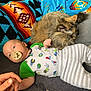 baby, infant, cat, pet, blanket, colorful_blanket, striped_pants, pacifier, hand_holding, fur, sleeping_cat, cozy, indoor, bed, resting, cute, child, animal, soft_texture, relaxation