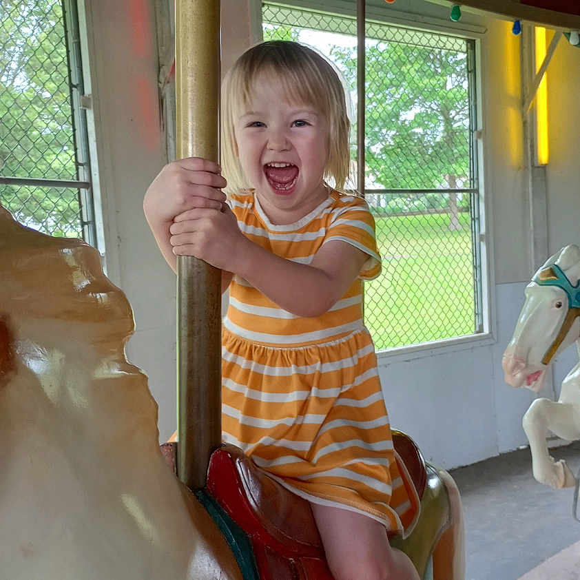 Alice is registered to the contest to win money with this photo: amusementpark, animal, bodypart, child, clothing, face, female, finger, footwear, girl, hand, head, horse, outdoors, person, photography, playarea, portrait, shoe, shorts
