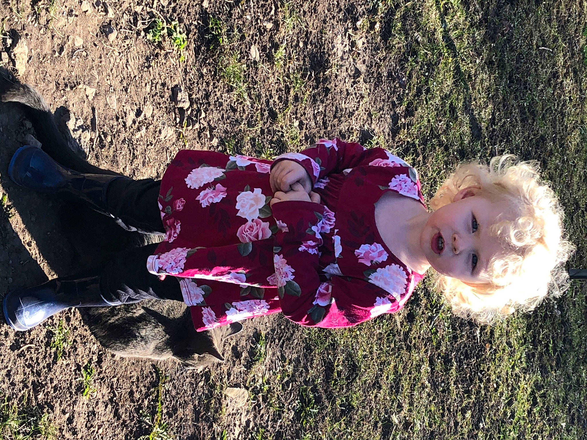 Rosella joined the competition — help win amazing prizes! beauty, botany, child, dress, flower, grass, happy, leaf, person, photography, pink, plant, smile, spring, sunlight, toddler, tree