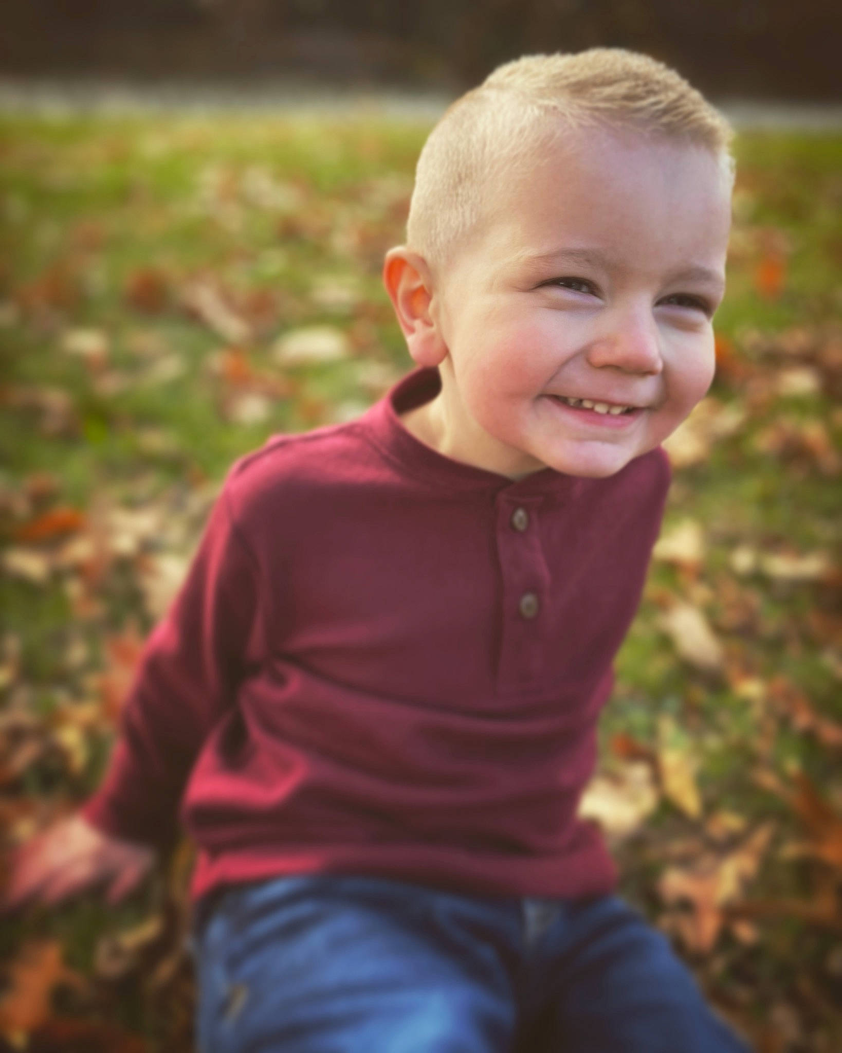 Greyson is registered to the contest to win money with this photo: blond, clothing, eye, flash_photography, fun, grass, grass_family, happy, jeans, joy, leisure, people, people_in_nature, person, plant, sitting, smile, sunlight, t_shirt, toddler