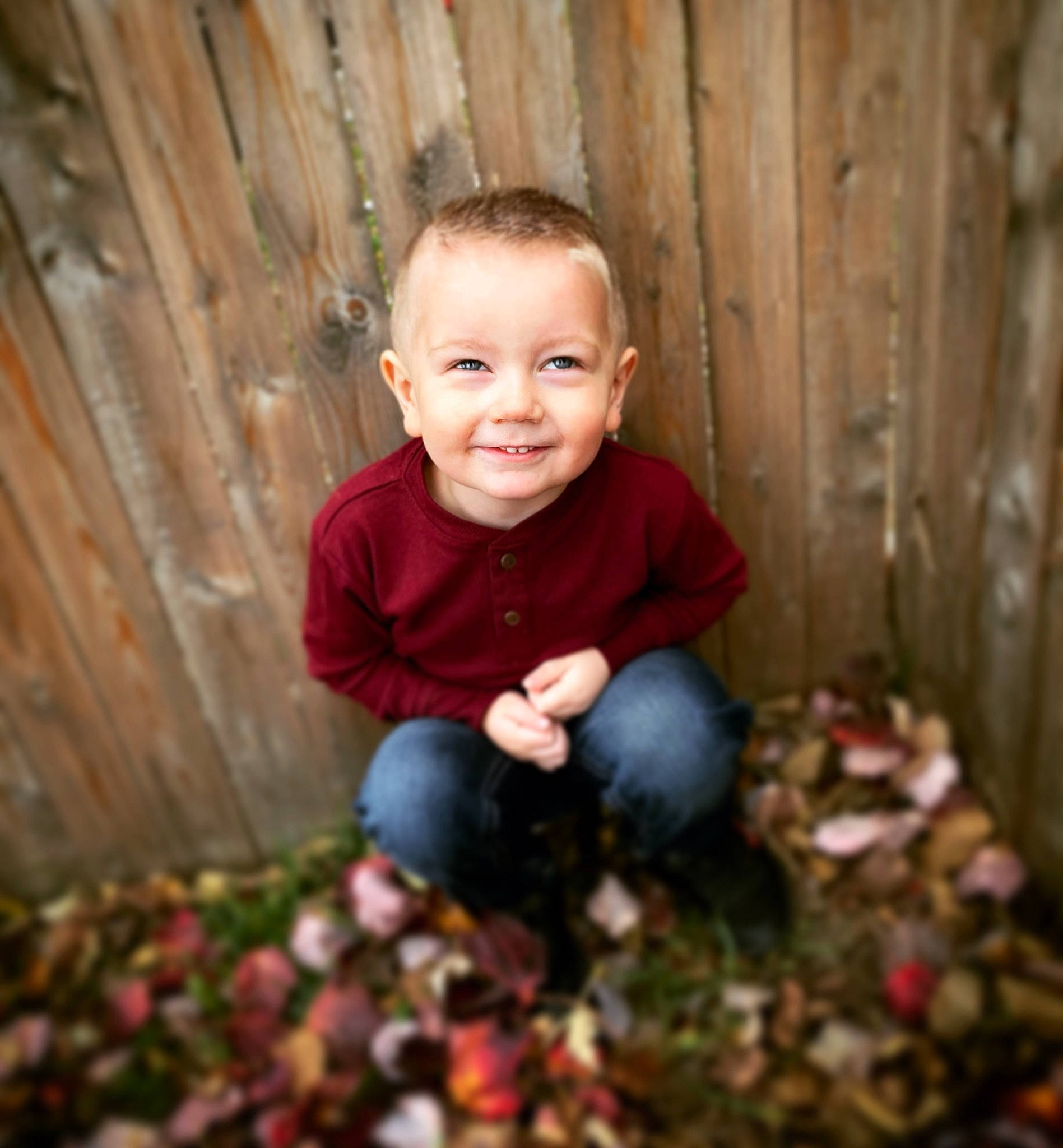 Greyson is registered to the contest to win money with this photo: baby_toddler_clothing, child, deciduous, eye, flooring, fun, grass, happy, jeans, joy, leaf, mammal, people_in_nature, person, plant, sitting, smile, soil, t_shirt, toddler