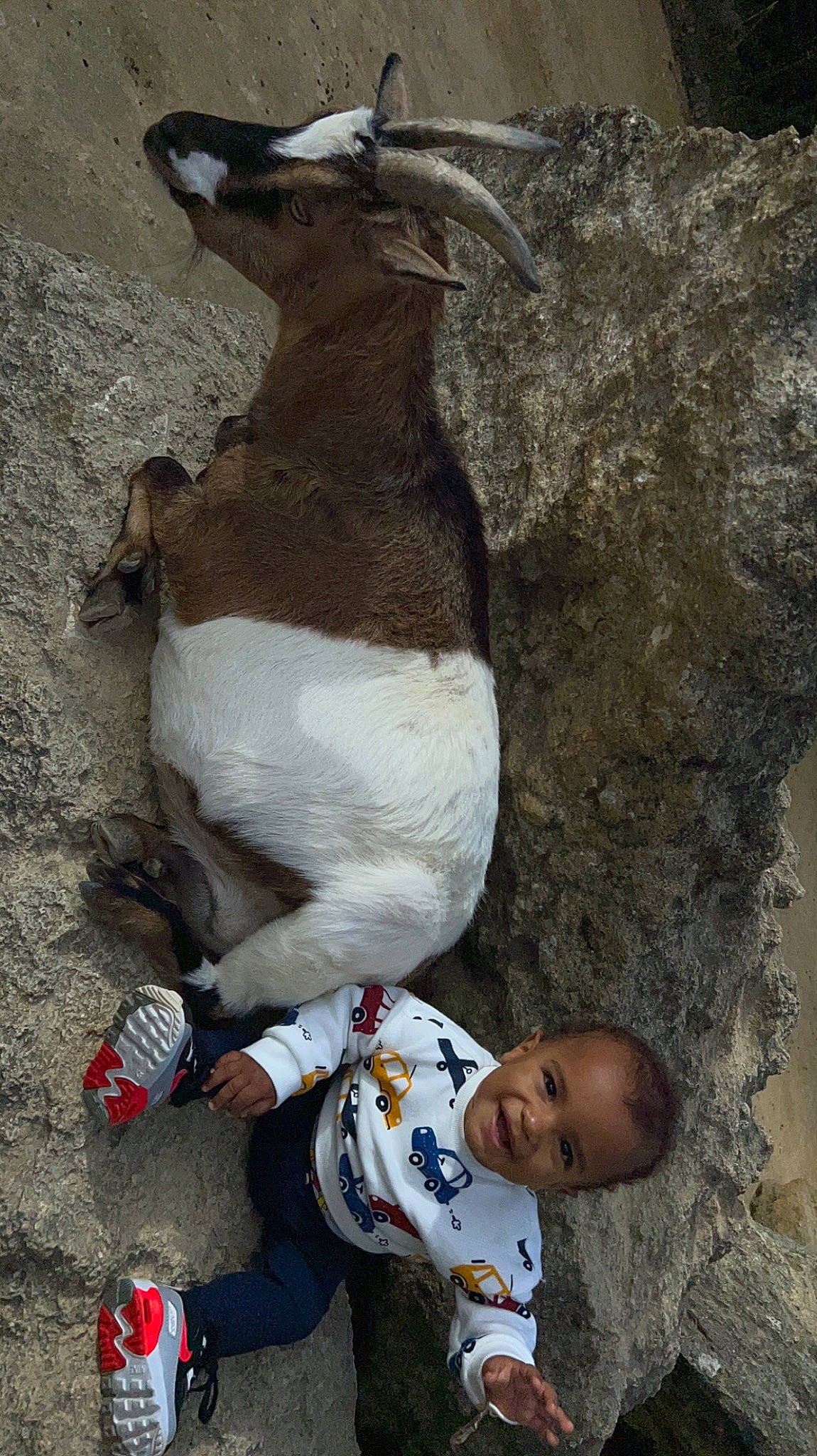 Djulïanõ a rejoint le concours — aidez-le/la à gagner de superbes lots ! adventure, beak, bird, joy, organism, person, photograph, recreation, rock, soil, terrestrial_animal, toddler, vertebrate, walking_shoe, white