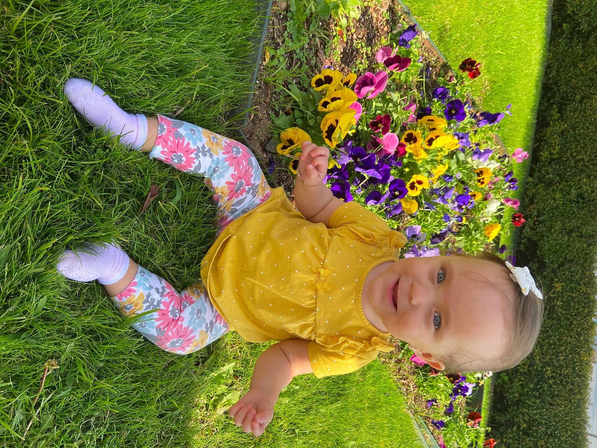 Sol is registered to the contest to win money with this photo: child, flower, fun, garden, grass, green, hand, happy, leisure, magenta, meadow, organism, people_in_nature, person, plant, play, recreation, smile, summer, toddler
