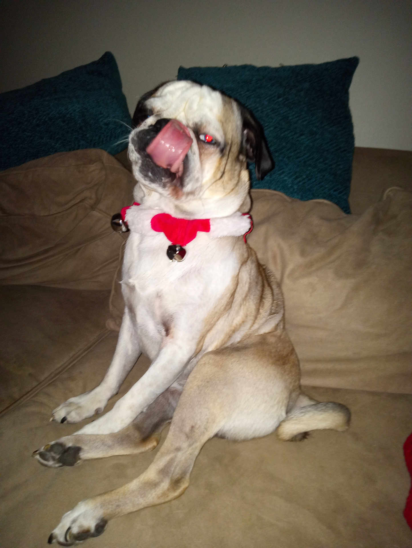 Pugsley