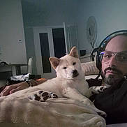 Ninji participe au concours pour gagner de l'argent avec cette photo : beard, blanket, companion, couch, cream_fur, dog, glasses, headphones, home, indoors, living_room, man, paws, person, pet, portrait, puppy, relaxed, sitting, sofa