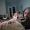 beard, blanket, companion, couch, cream_fur, dog, glasses, headphones, home, indoors, living_room, man, paws, person, pet, portrait, puppy, relaxed, sitting, sofa