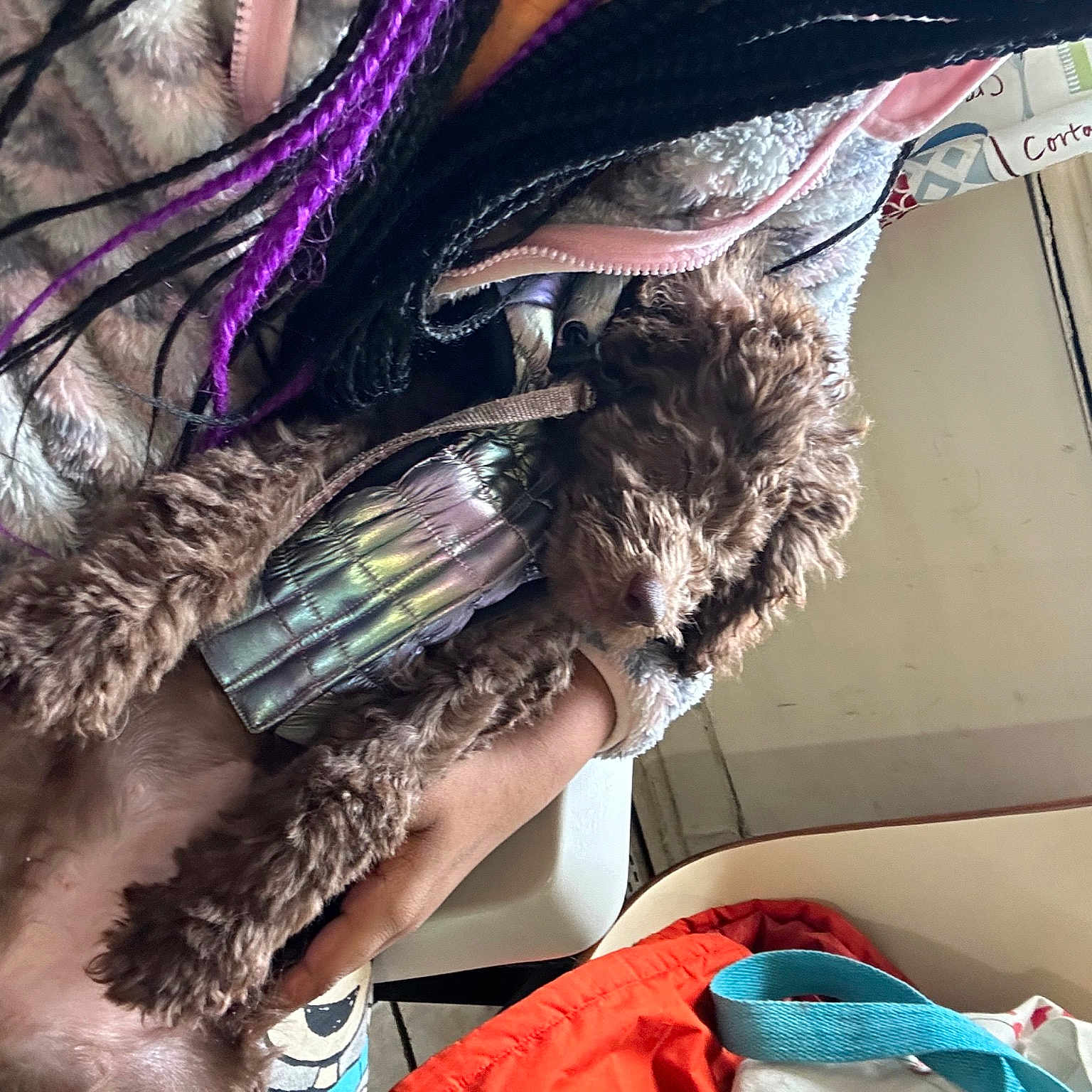 Javah is registered to the contest to win money with this photo: bird, dress, eyelash, eyewear, fashion_accessory, fashion_design, feather, flesh, fur, hair_coloring, human_leg, long_hair, magenta, nail, pattern, purple, sunglasses, tree, wing, wrist