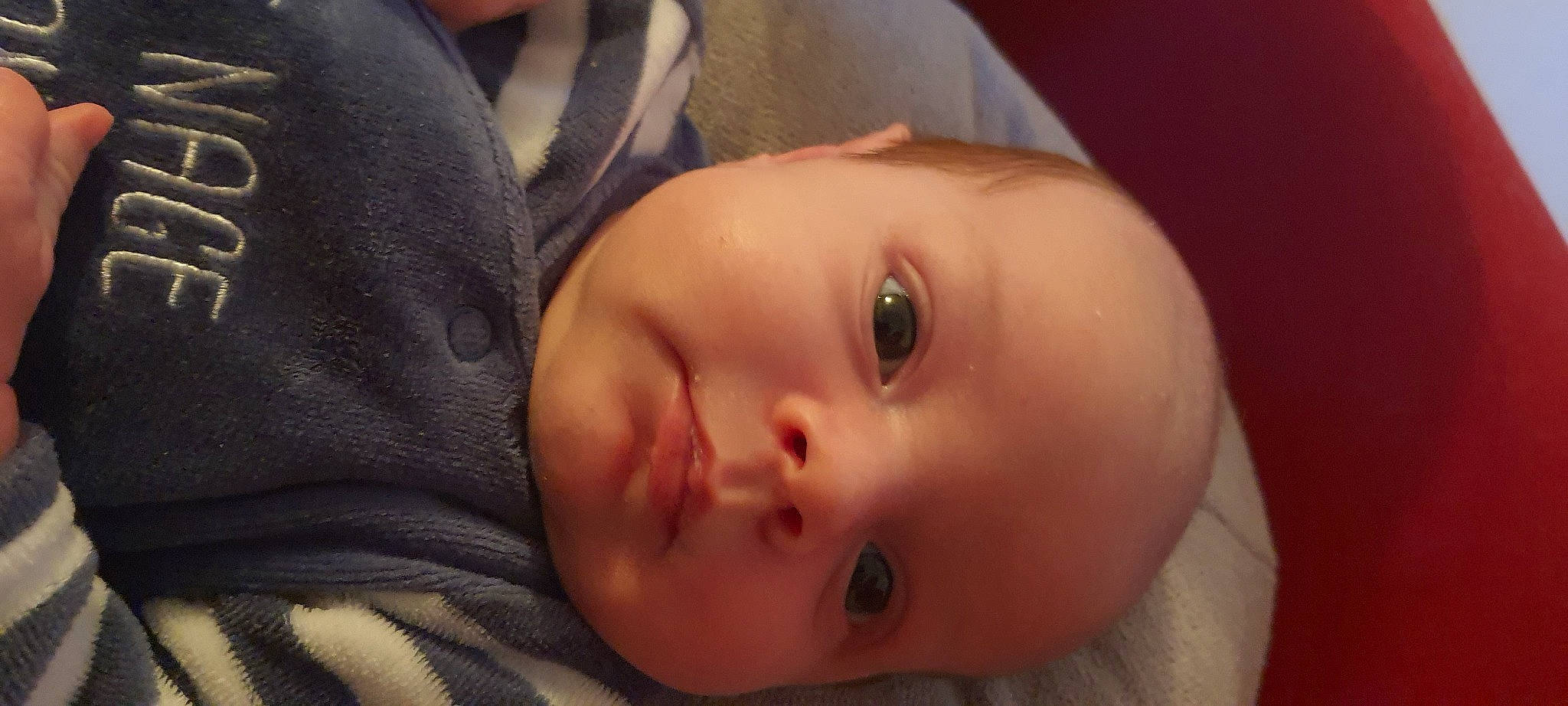 Aaron participe au concours pour gagner de l'argent avec cette photo : baby, baby_toddler_clothing, cheek, child, comfort, ear, eyebrow, eyelash, flash_photography, forehead, fun, grass, human_body, iris, lip, mouth, nose, person, portrait_photography, skin