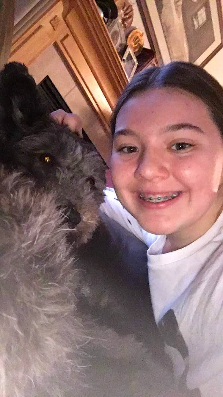 Lulu is registered to the contest to win money with this photo: affenpinscher, canidae, carnivore, companion_dog, dog, dog_breed, ear, photography, schnoodle, selfie, smile