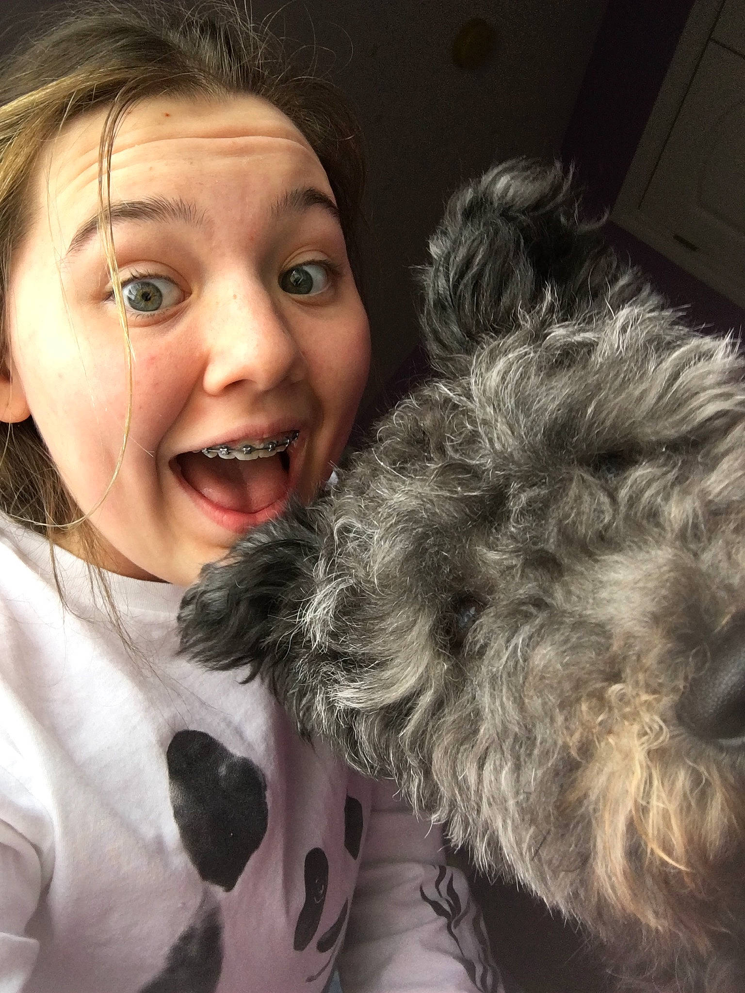 Lulu is registered to the contest to win money with this photo: canidae, child, dog, dog_breed, ear, fur, hair, happy, head, human, irish_wolfhound, labradoodle, miniature_schnauzer, nose, photography, puppy_love, schnoodle, selfie, skin, smile