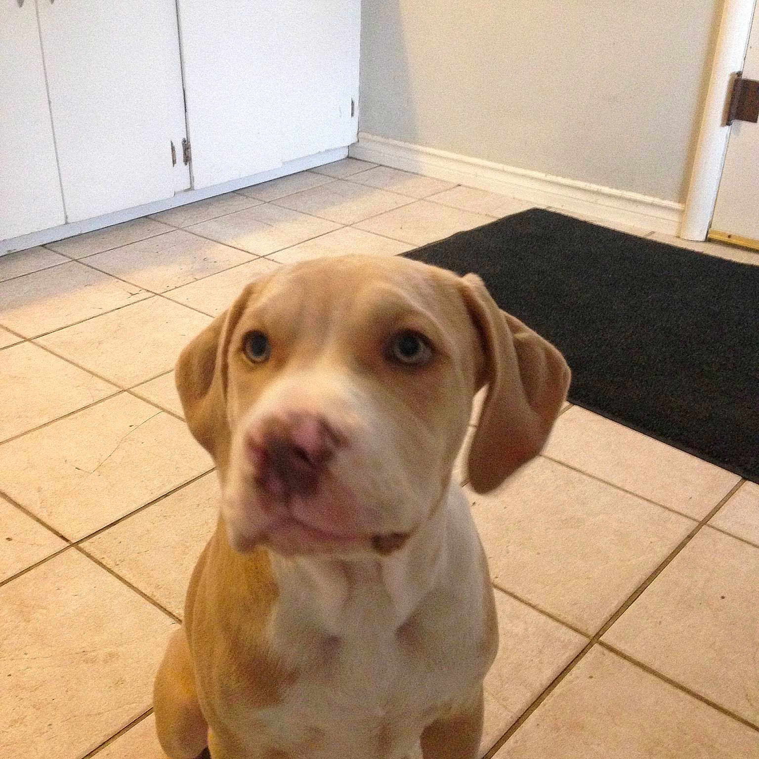 Floyd