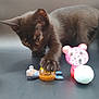black_cat, kitten, toy, paw, curious, figurine, colorful, indoor, playful, animal, pet, small_toy, close_up, dark_background, whiskers, ears, eyes, claws, table, focus