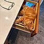 Chester is registered to the contest to win money with this photo: cat, orange_tabby, drawer, sleeping, glasses, countertop, indoor, carpet, wooden_drawer, household_items, cozy, pet, feline, relaxed, napping, fur, claws, quiet, home, resting