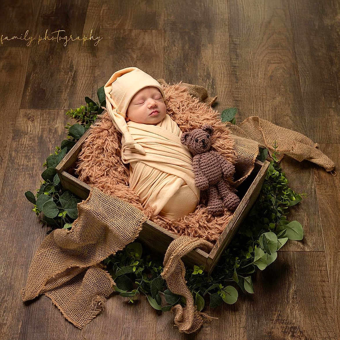 Tracer is registered to the contest to win money with this photo: animal, baby, basket, bonnet, canine, cap, clothing, crib, face, hardwood, hat, head, leaf, newborn, person, photography, plant, portrait, sleeping, wood
