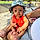 Noah