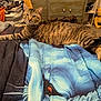 Teako is registered to the contest to win money with this photo: cat, tabby_cat, bed, blanket, furniture, dresser, clothing, laundry, indoor, pet, animal, striped, resting, looking, cozy, room, sitting, domestic, relaxed, household