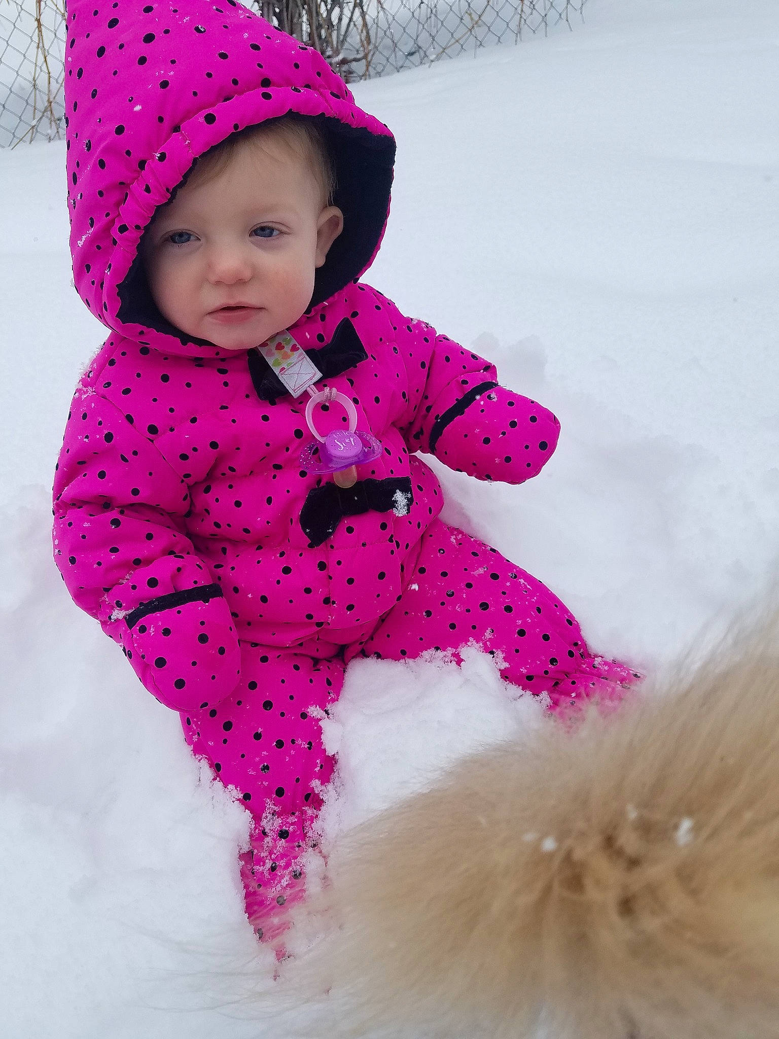 Lilian is registered to the contest to win money with this photo: baby, baby_toddler_clothing, bonnet, cheek, child, freezing, fun, fur, headgear, knit_cap, magenta, outerwear, pattern, person, pink, play, playing_in_the_snow, skin, snow, toddler