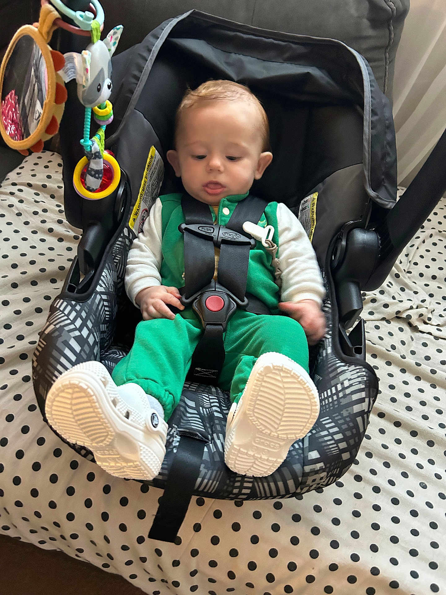 Sonny joined the competition — help win amazing prizes! baby, car_seat, child, green_clothing, white_shoes, bed, polka_dot, toy, hanging_toy, indoor, cute, infant, seat_belt, pattern, fabric, person, young_child, footwear, black, white