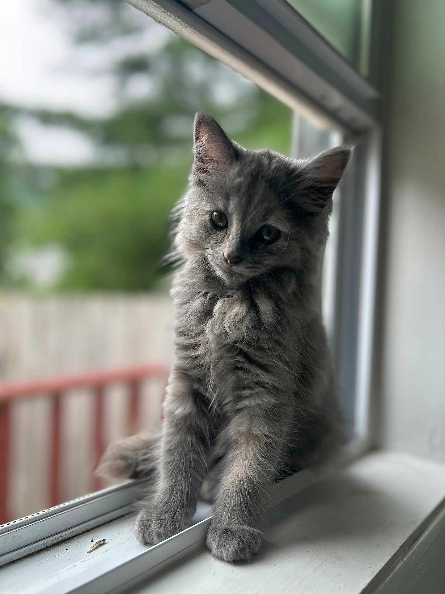 Zoey